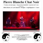 Pierre Blanche Chat Noir